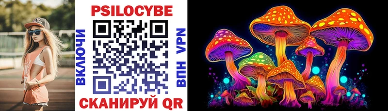 даркнет как зайти Тында Псилоцибиновые грибы мицелий ссылка на мегу зеркало